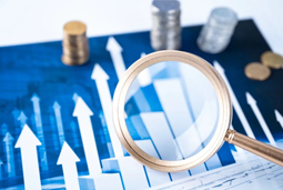 JDPAY钱包官网国际上半年营收同比增长7.88% 商业模式抗风险能力显现